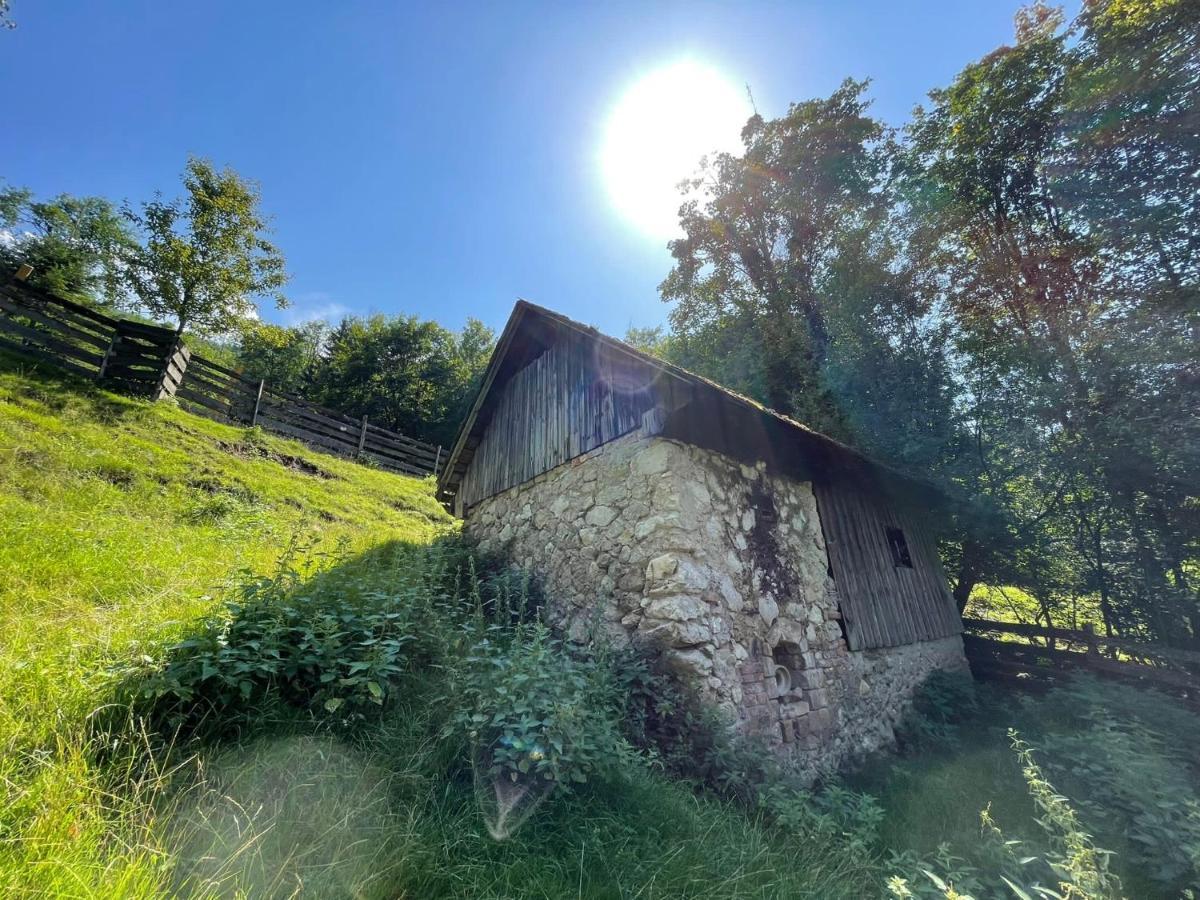 Buechlhof - App. Breitenstein Lilienfeld Экстерьер фото